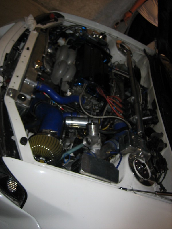 IMG_7532.jpg