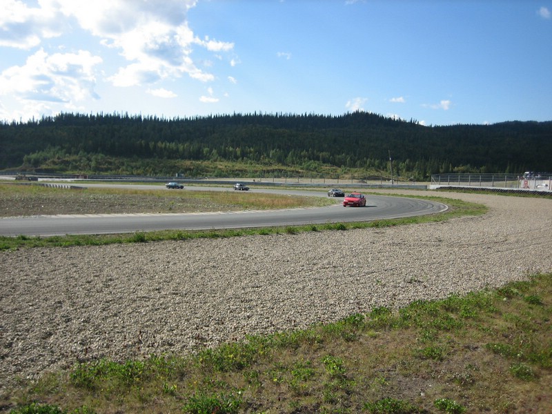 IMG_7537.jpg