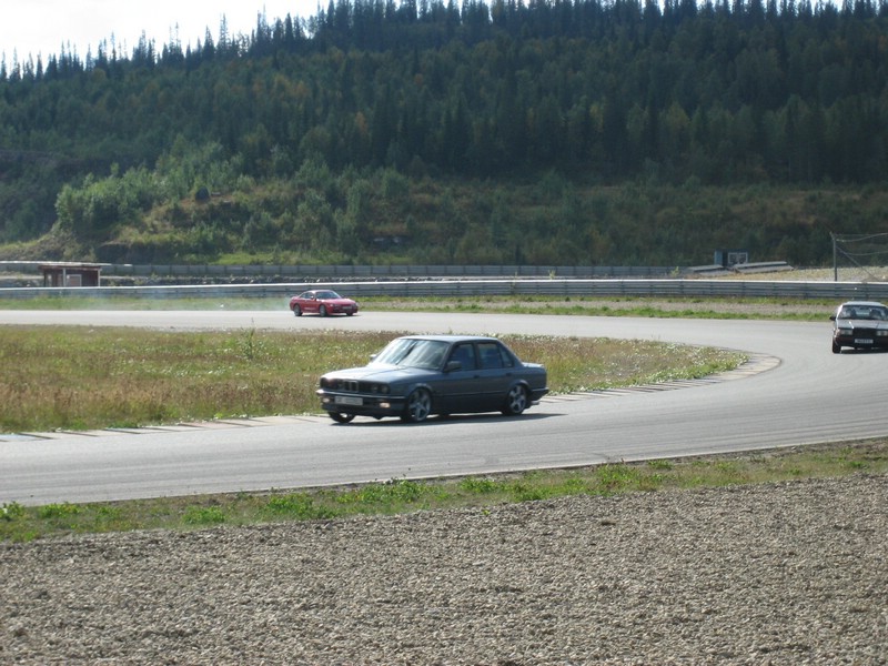IMG_7550.jpg