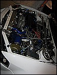 IMG_7532.jpg