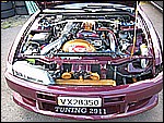 IMG_7539.jpg