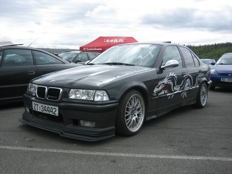 ACR 029.jpg