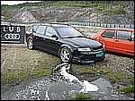 ACR 051.jpg