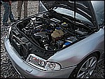 ACR 203.jpg