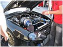 IMG_8313.JPG